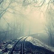 Aarika Evgenia's avatar