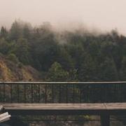 Avelynn Jamyiah's avatar