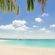 Savannah Friedman's avatar