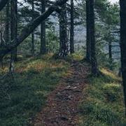 Yakelin Ren's avatar