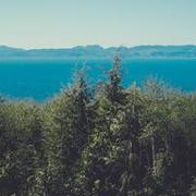 Deangela Kanna's avatar