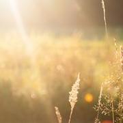 Skylar Saphira's avatar