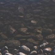 Aneesah Nayma's avatar