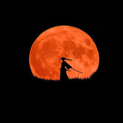 Rajendra Mehrotra's avatar