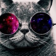 Dasra viswan's avatar