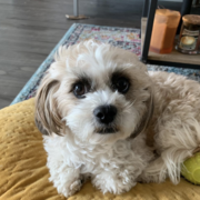 Maricris Bonzo's avatar