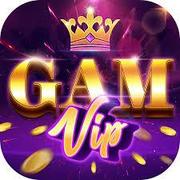 Gamevip Vin's avatar