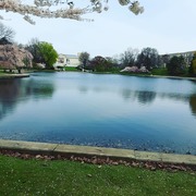 Indirapriyadarshini .