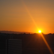 Krisha Chokshi's avatar