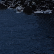 Asha Danielson's avatar