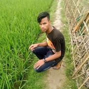 ALAMIN GAMING's avatar