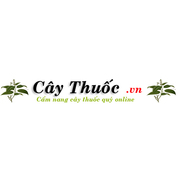 Thảo dược An Quốc Thái's avatar