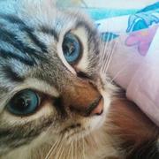 David Jimenez Sequero