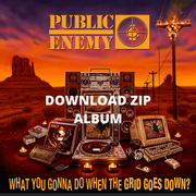 (!!320Kbps!!) Public Enemy What You Gonna Do When the Grid Goes's avatar