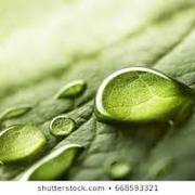 Amritha Rajeev's avatar