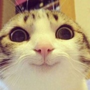 Thao Tran's avatar