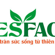 Nesfaco VN's avatar