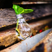 Flew Delacours's avatar