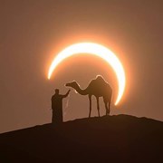 Country lp09's avatar