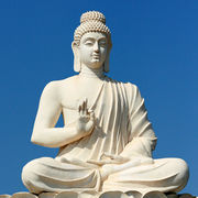 Dnesh Singh's avatar