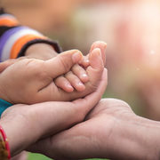 Herlihy  Family Law's avatar