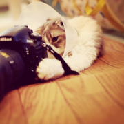 SANA KHAN BANO's avatar