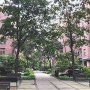 Hemaly Valerio's avatar