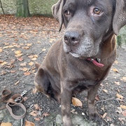 Jordan  Jenkins's avatar