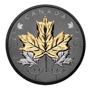 Alin Vasile's avatar