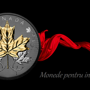 Cristian Dima's avatar