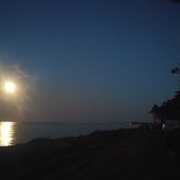 Debora de Luca's avatar