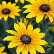 Alyssa Watkins's avatar