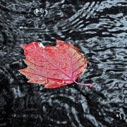 Axel Harris's avatar