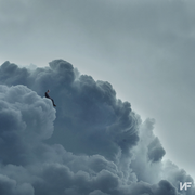 {Album-Zip} NF CLOUDS (THE MIXTAPE)  Mp3 EP Download 2021's avatar