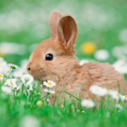 Olivia Beckett's avatar