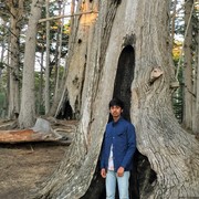 Ayaan Mohamed's avatar