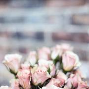 Amanda Hong's avatar