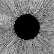 {DOWNLOAD} VOLA Witness {ALBUM MP3 ZIP}'s avatar