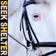 {DOWNLOAD} Iceage Seek Shelter {ALBUM MP3 ZIP}'s avatar