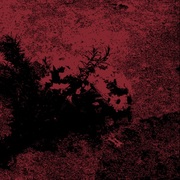 {DOWNLOAD} Viuda Viuda - EP {ALBUM MP3 ZIP}'s avatar
