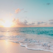 {DOWNLOAD} Relaxify Wave and Bird Sounds Wit {ALBUM MP3 ZIP}'s avatar