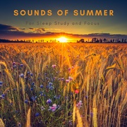 {DOWNLOAD} Natural Sounds Selections Sounds of Summer {ALBUM MP3 ZIP}'s avatar