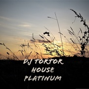 {DOWNLOAD} dj tortor House Platinum {ALBUM MP3 ZIP}'s avatar