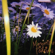 {DOWNLOAD} Margaritas Podridas -  Margaritas Podridas {ALBUM MP3 ZIP}'s avatar
