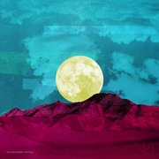 {DOWNLOAD} White Ascot -  Pink Blood / False Memor {ALBUM MP3 ZIP}'s avatar