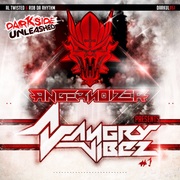 {DOWNLOAD} Angernoizer -  Angry Vibez #1 - EP {ALBUM MP3 ZIP}'s avatar