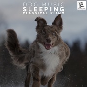 {DOWNLOAD} Calming Music for Dogs, J -  Dog Music - Sleeping Cla {ALBUM MP3 ZIP}'s avatar