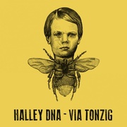 {DOWNLOAD} Halley DNA -  Via Tonzig {ALBUM MP3 ZIP}'s avatar