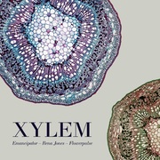 {DOWNLOAD} Emancipator, Rena Jones & -  Xylem {ALBUM MP3 ZIP}'s avatar
