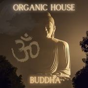 {DOWNLOAD} Various Artists -  Organic House - Buddha {ALBUM MP3 ZIP}'s avatar
